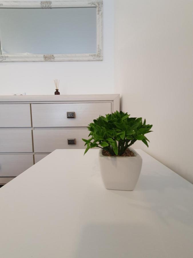 Talsa 1-Bedroom Apartment In City Center Siauliai Luaran gambar